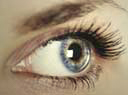 Enhance your eyes with the Nail Workshop