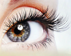 Tamarisk's Eyelash Extensions