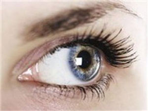 eyes