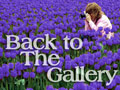 Click here to go back to The Nail Wokshop Gallery main page